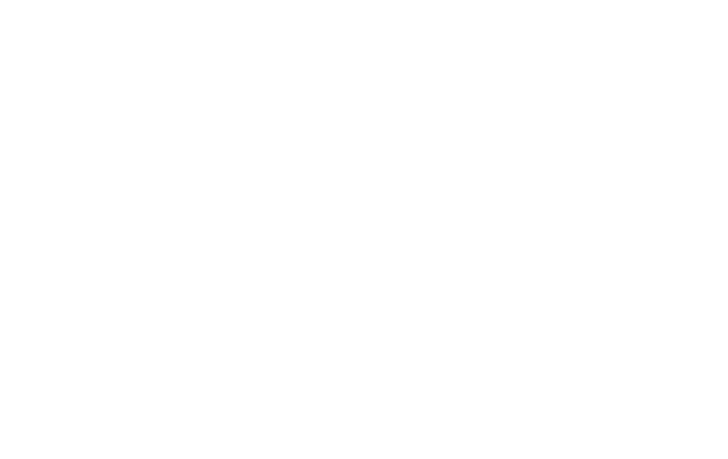 Logo Stroo Energy Solutions wit