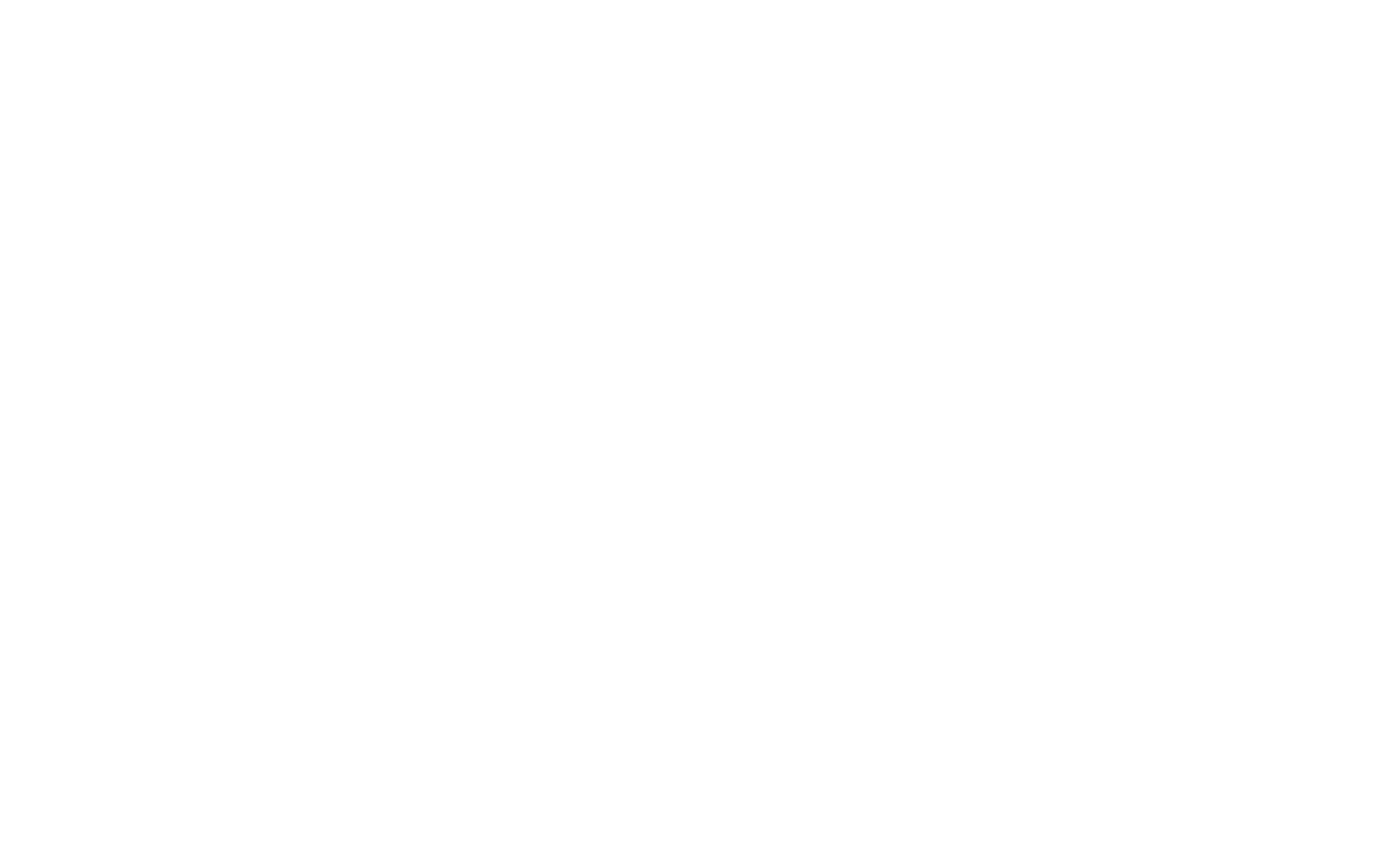 Logo Stroo Energy Solutions wit